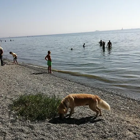 Annette's Luxuswohnung Am Stadtpark