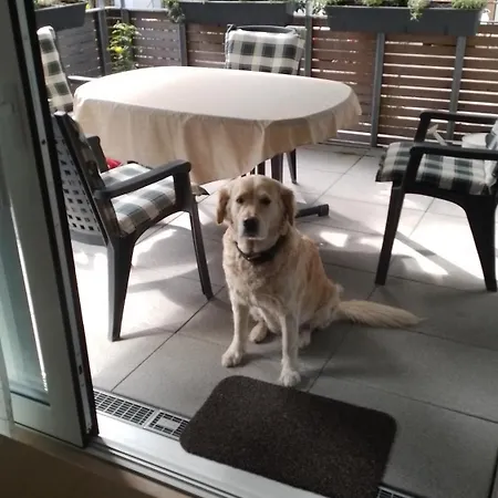 Annette's Luxuswohnung Am Stadtpark Apartment *