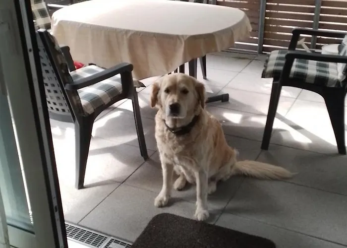 Annette's Luxuswohnung Am Stadtpark Appartement *